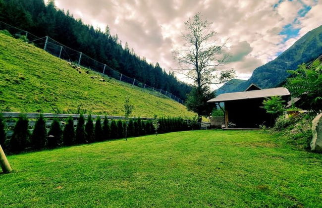 Holiday Home Muhr Near Katschberg Ski Area - Foto 25