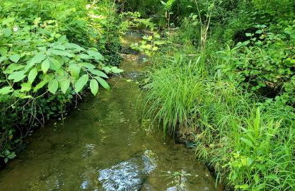 Rustic A-Frame Cabin in the Lush Woodlands of Grubville, Missouri - Foto 9