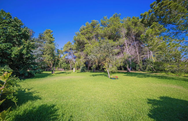 Villa Civico 32 Near The Sea With Pool - Foto 33