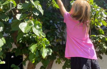 Planatschhof - Photo 55