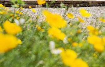Du Levant au Couchant - 2 gîtes mitoyens à Caylus - Piscine - Jardin - 5 chambres - 12 personnes - 5 minutes du village médiéval - Foto 19