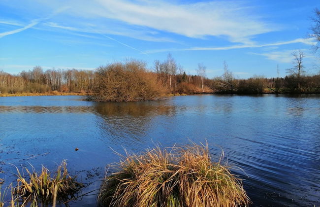 Nice Chalet by the Woods in Saint-leger - Foto 36