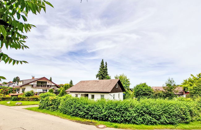 Vergissmeinnicht - Foto 48