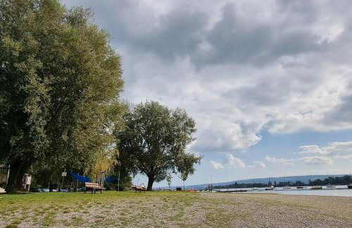 Seeblick Wadee - Foto 21