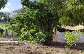 La casa Rosa 2 - Foto 13