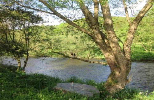 Delightful Holiday Home in Battenberg Near Forest - Foto 109