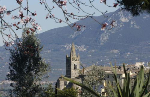 Le Storie di Bambu - Foto 13