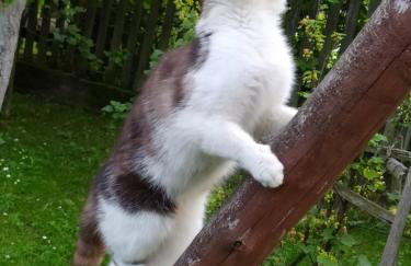 Apartament Widok - Foto 22