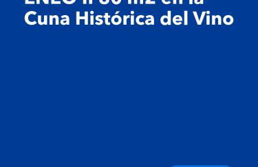 APARTAMENTO REY ENEO II 80 m2 en la Cuna Histórica del Vino - Photo 48