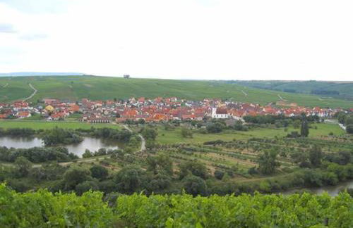 Ferien- und Winzerhof Ute Braun - Foto 30