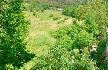 Grande maison cévenole authentique - Foto 27