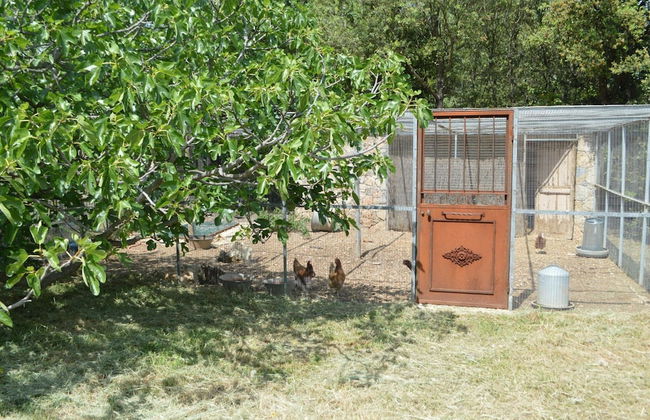 Holiday Home in Lorgues With Private Pool - Foto 37