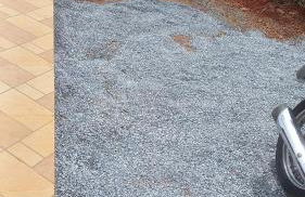 Palácio do Príncipe - Foto 23