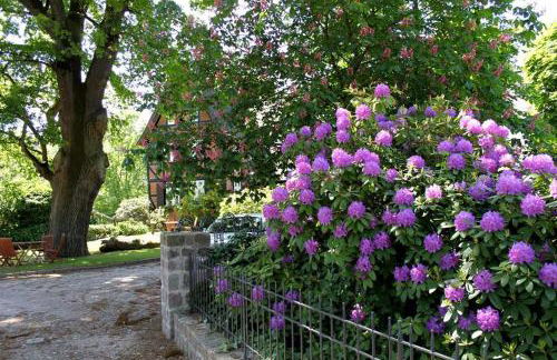 An der Seeve, Ferienhaus - Foto 9