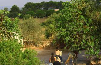 Finca Agroturismo Son Menut - Foto 94