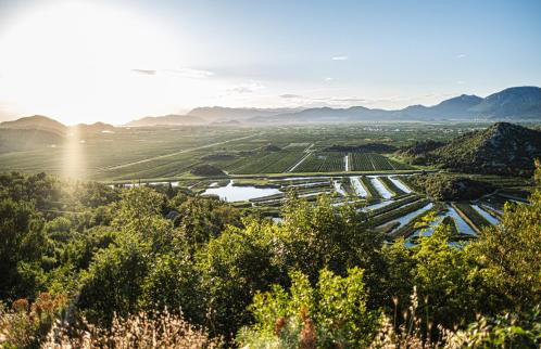 Nera Etwa House - Photo 52