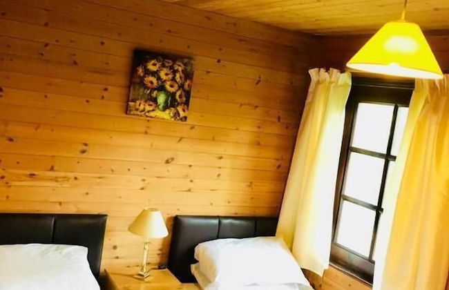 Goldcrest 3 Hot Tub - Foto 6