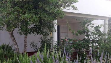 Oasis apartment 300 meters from the beach - by TA Leut Agency - Foto 1, Garden