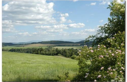 Dom Gościnny pod Zamkiem Wleń - Foto 54