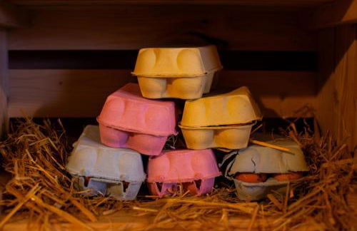 Countryside Cabin on 5 Acres Countryside with Outdoor Firepit, Cinema and converted Stables - Foto 44