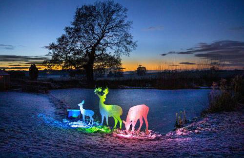 The Owl House with swimming pool and private hot tub - Foto 49