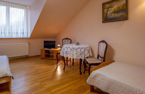 Pensjonat nad Płaskim - Foto 15