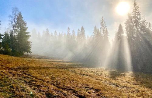 Domek Tatry - Stacja Wierchowa 972 m - Foto 51