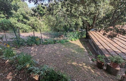 Cozy house in the Chianti region - Foto 23