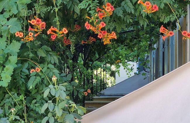 Le Gîte du Festival Sud - Photo 13