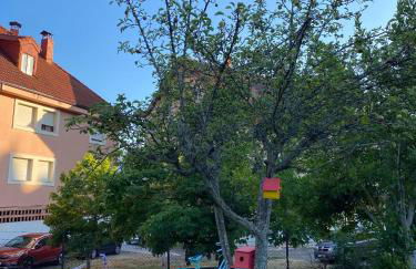 Los Kukos Casa Rural - Foto 48