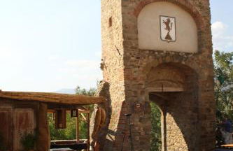 Il Glicine - Foto 37