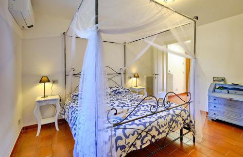 La Zinevrela - Foto 19