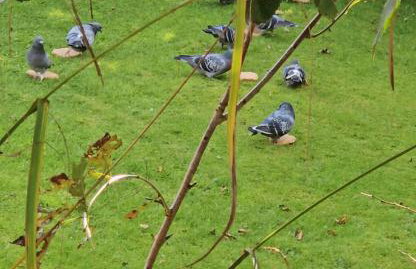 Peaceful home - Foto 46