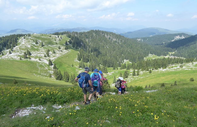 Belvilla by OYO Casa Olli - Foto 37