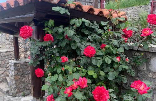 Terra Petra Villa at Psari Trikolonon Gortynia - Photo 11