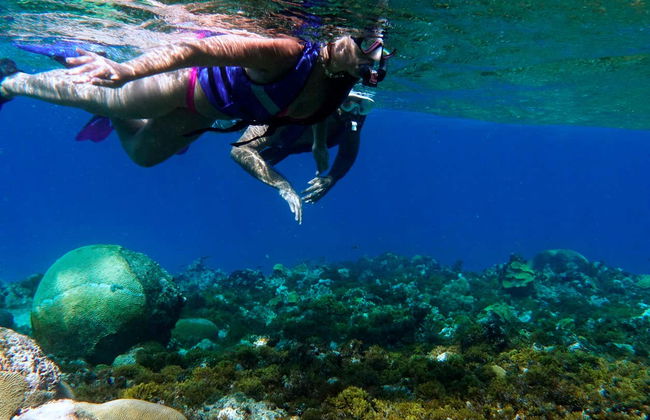 Snorkeling à San Andrés - Photo 5