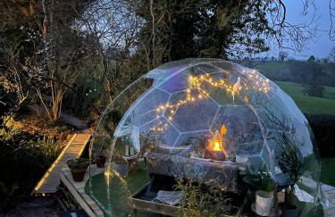 Natures Edge Cabin - Photo 6