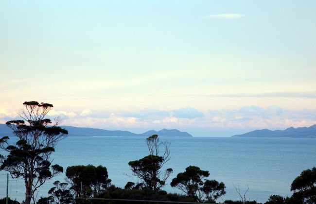 Dragonfly Lodge - Foto 23