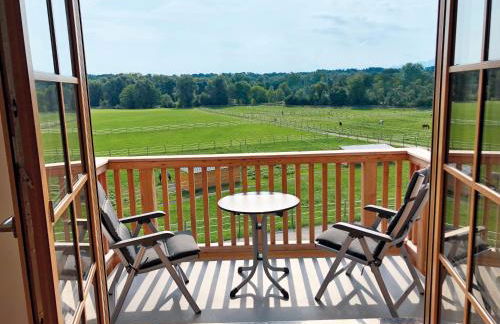 Ferienwohnungen Thum - Foto 20