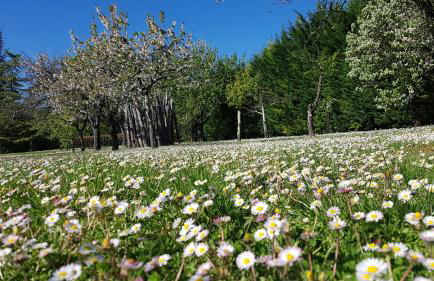 Domaine de la Brette - Photo 73