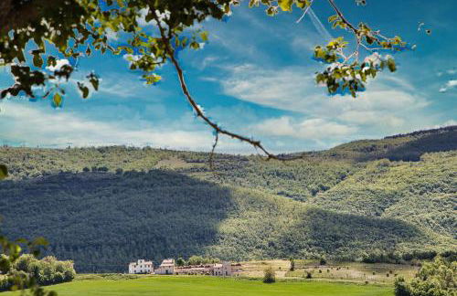 Agriturismo I CASALI DI MORRO - Foto 18