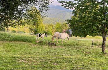 LaGrange-Ariege c - Foto 18