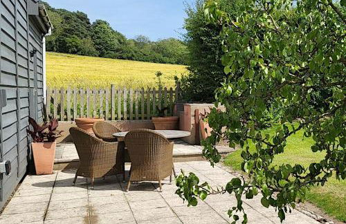 The Artist's Studio - Foto 10