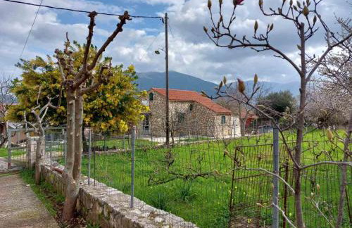 The Stone House-Zacharatos Nikolaos - Photo 40