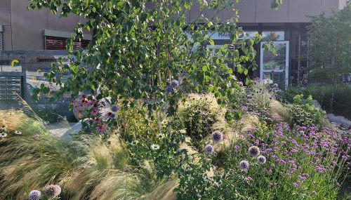 Boardinghouse Steinen - Foto 4