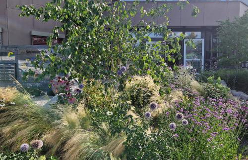 Boardinghouse Steinen - Foto 4