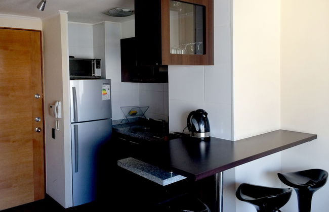 Santiago Furnished Apartments - Foto 4