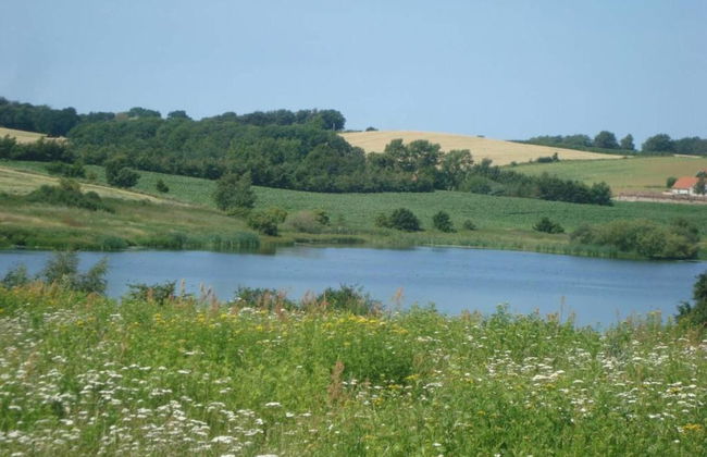 4 Person Holiday Home in Holbaek - Photo 14