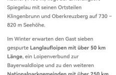 Ferienwohnungen Kremser bei Spiegelau Eppenschlag - Foto 53