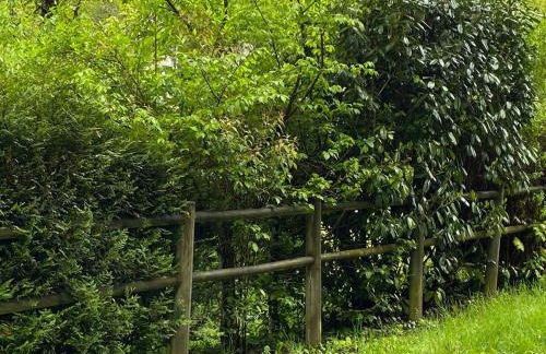 Moulin Grand, entire accommodation, 2br park river - Foto 46